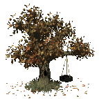old tree